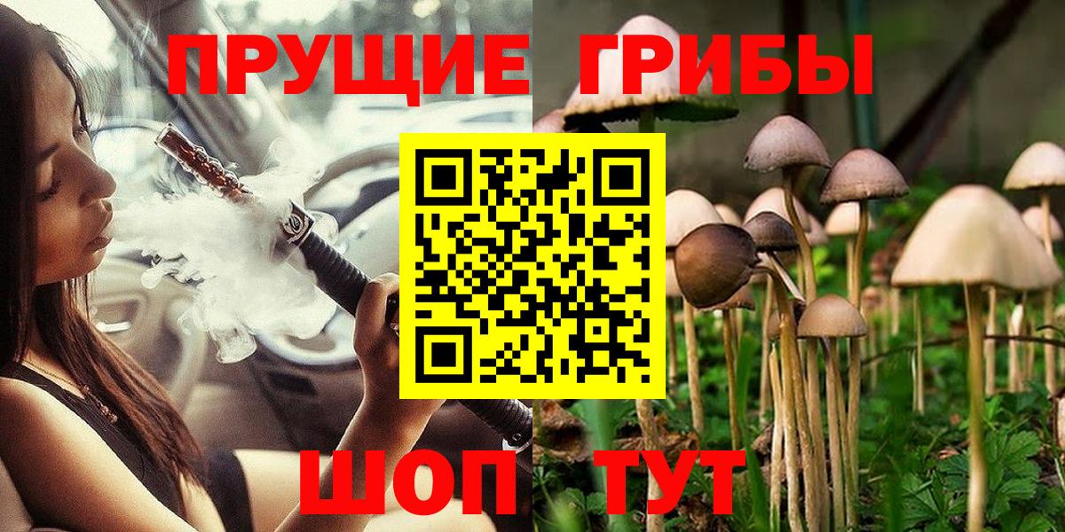 Новошахтинск  Псилоцибиновые грибы мицелий  Вход с VPN 